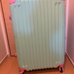 ⭐️引き取り先決定⭐️キャリーケース Lサイズ スーツケース 大...