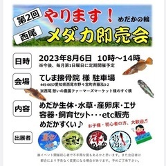 メダカイベント。西尾憩いの農園横のてしま接骨院様駐車場。