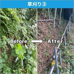 草刈り、草焼き、除草剤散布、除草シート施工 − 神奈川県