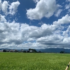 スタバ友達募集♫