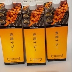 豊潤サジー1000ml×3本セット　未開封　賞味期限2024.0...