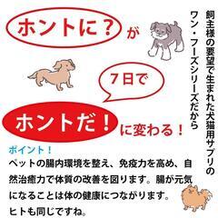 【ネット決済・配送可】犬・猫用サプリ『ワンフーズチーズ』