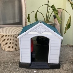 犬小屋　中型犬から大型