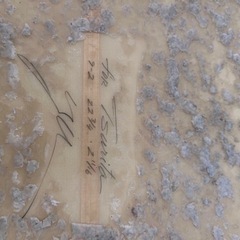 サーフィン　ロングボード　ハードケース　センターフィン