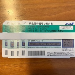 ANA株主優待 (期限2023/11/30)
