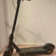 セグウェイ ナインボット Segway Ninebot Kick...