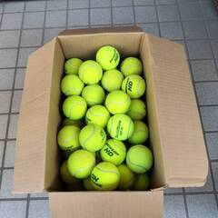 【中古】硬式テニスボール約70個　譲ります！