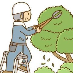 【急募】鳥取市内　庭木の剪定できる方！