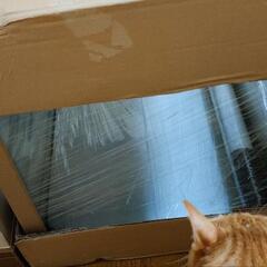 魚水槽　マーフィード フレームレスタンク600x450x500H　オーバーフロー水槽用
