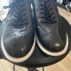 引き取り限定･ボーリング球+ボーリングシューズ