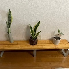 ガーデニング　棚　観葉植物スタンド　DIY