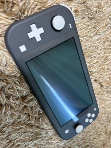 その他 Switch light