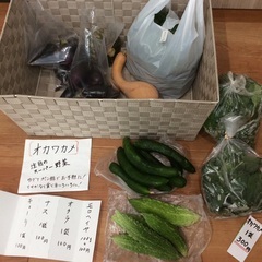 本日19時まで限定❗️本日収穫新鮮お野菜です⭐️ナス、きゅうり、...