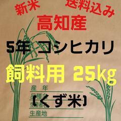 令和5年産 高知県産 新米コシヒカリ(くず米) 玄米25㎏(袋込み)