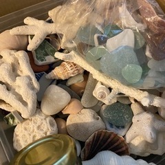 箱いっぱいの海の宝物　シーグラス　貝殻　さんご