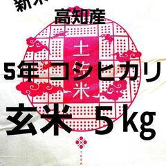 令和5年産 高知県産 新米コシヒカリ 玄米5㎏(袋込み)