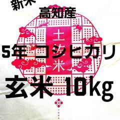 令和5年産 高知県産 新米コシヒカリ 玄米10㎏(袋込み)