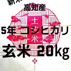 ネット決算 令和5年産 高知県産 新米コシヒカリ 玄米20…