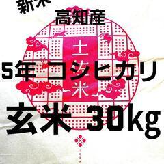 令和5年産 高知県産 新米コシヒカリ 玄米30㎏(袋込み)