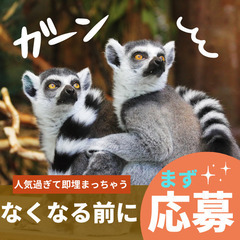 早い者勝ち！？【時給1600円×寮費無料×短期】誰でも出来る包装...