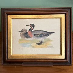 鴨の絵の額　BIMACULATED DUCK