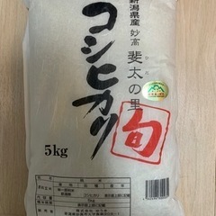 お米10kg