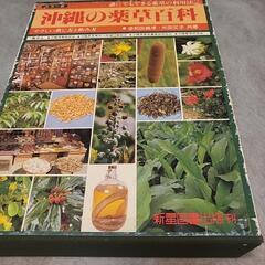 沖縄の薬草百科