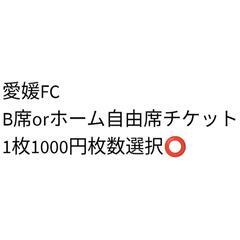 愛媛FC　チケット　2枚