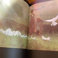 デビッドハミルトン　写真集　絶版　2冊セット