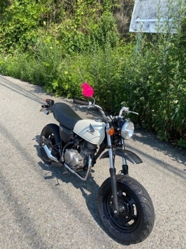 (商談中)エイプ50FI (インジェクション車)