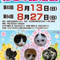 8/13(日)　猫の譲渡会　in　名古屋市昭和生涯学習センター
