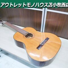 アコースティックギター Estrella C-008 本体のみ ...
