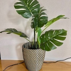 IKEA 人工観葉植物