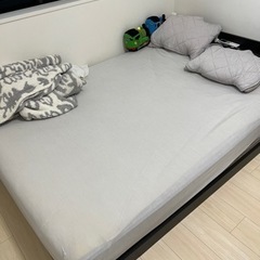 早い者勝ち！9月の最初の方に受取り可能