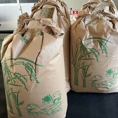 令和4年産　ヒノヒカリ 1袋 30kg（玄米）