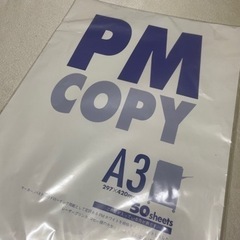 PM COPY A3