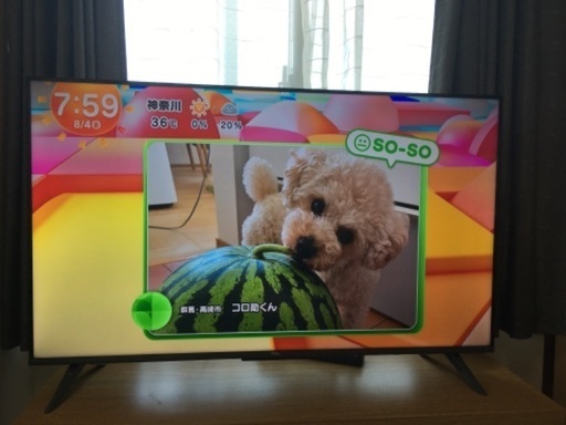 8/10まで　35,000円　数回使用のみ　43インチ4Kチューナー内蔵Androidテレビ　TCL 43P735