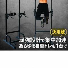 懸垂 STEADY ステディ ぶら下がり健康器 チンニングスタン...