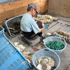 雄武町幌内で貝殻容器の製造スタッフ募集！！ − 北海道