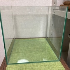 30cmキューブガラス水槽