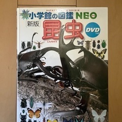 小学館の図鑑NEO 昆虫
