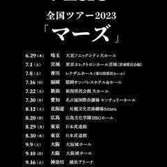 AdoのLIVEチケット×2枚