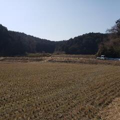 【三田市近辺】お安く草刈りします！