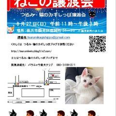 つるみ・猫のカギしっぽ譲渡会8月27日　 JR鶴見駅西口から徒歩...