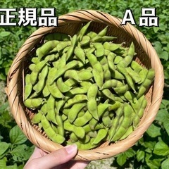 【限定価格】鶴岡市だだちゃ豆A品　1kg〜