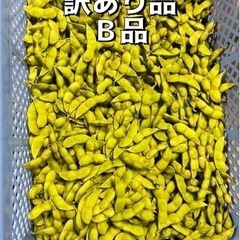 【大好評！】鶴岡市だだちゃ豆B品　1kg〜