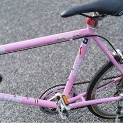 GIOS MIGNON 470 ベルクロ ラレー ビアンキ ジオス