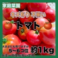 キズ有り トマト 1kg以上 無農薬 新鮮野菜