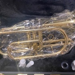 【8／8限り】Blessing BCR-1230