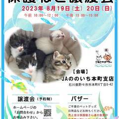 ８月１９日（土）２０日（日）子猫がいっぱい！譲渡会を開催します（＾＾）